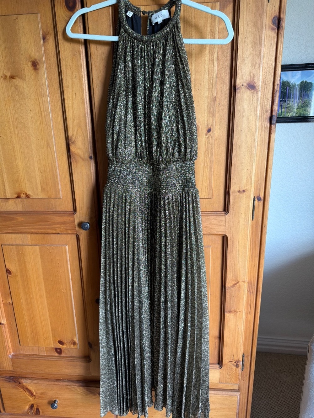 Metallic gold/black pleated dress.